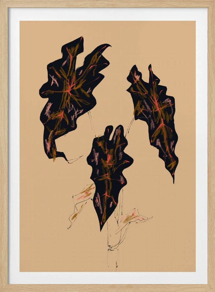 Alocasia Polly Beige | Poster