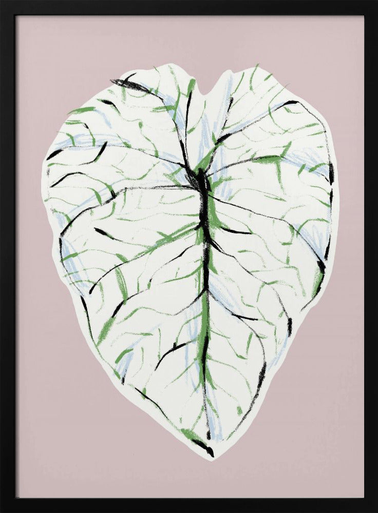 Alocasia Melo Light | Poster