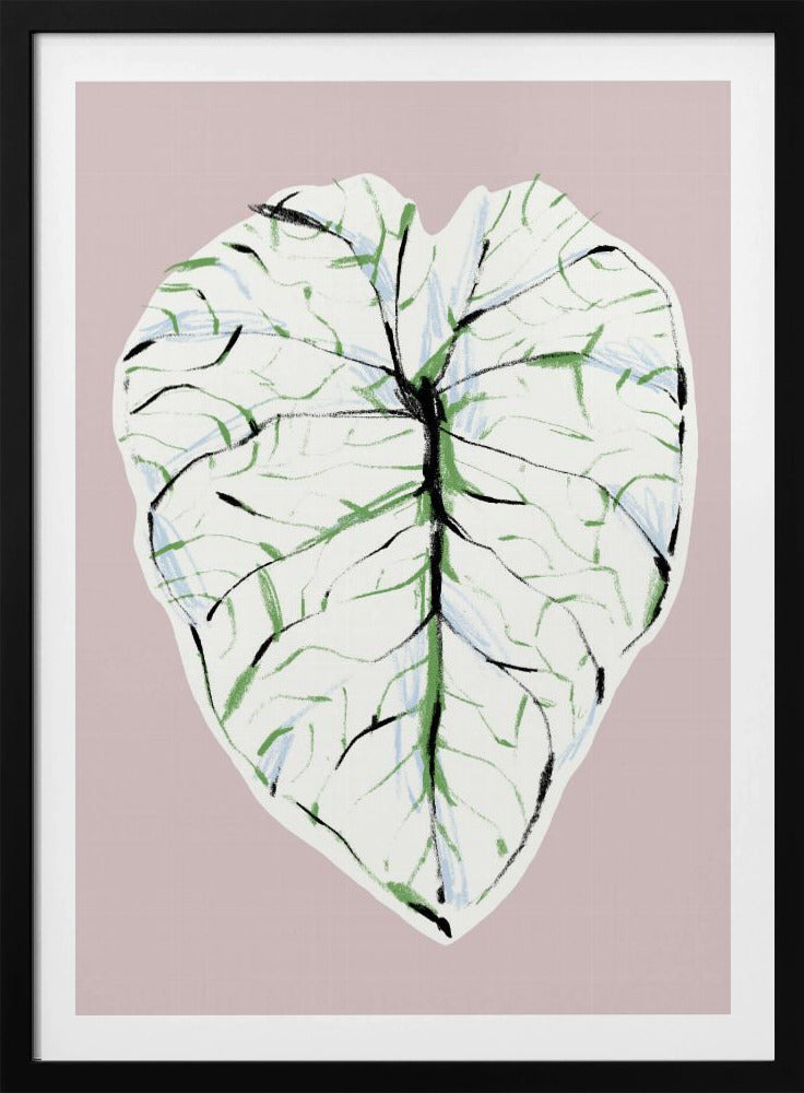 Alocasia Melo Light | Poster
