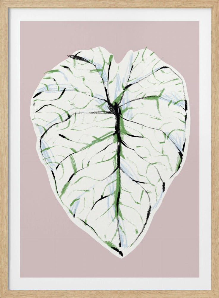 Alocasia Melo Light | Poster