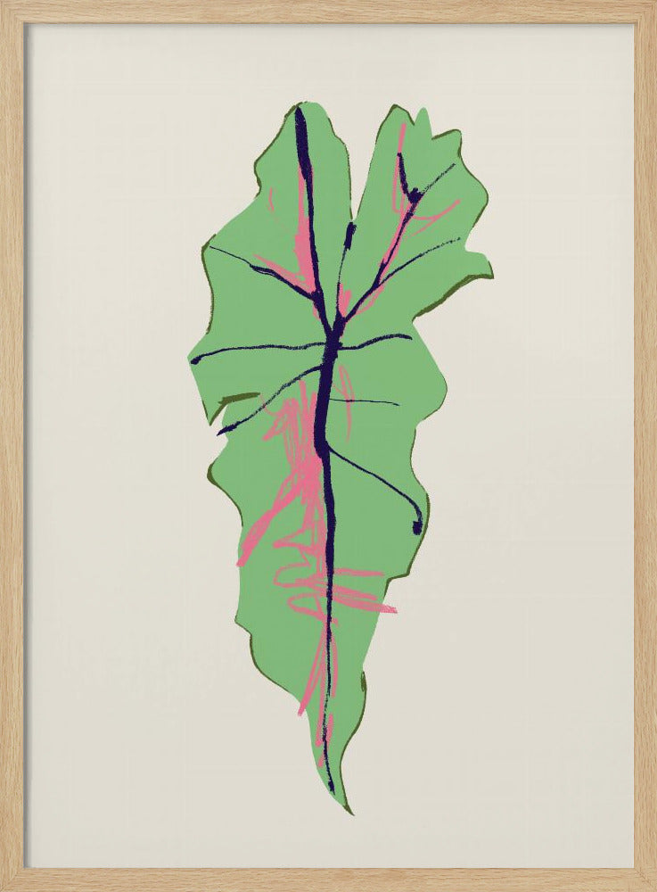 Alocasia Polly | Poster