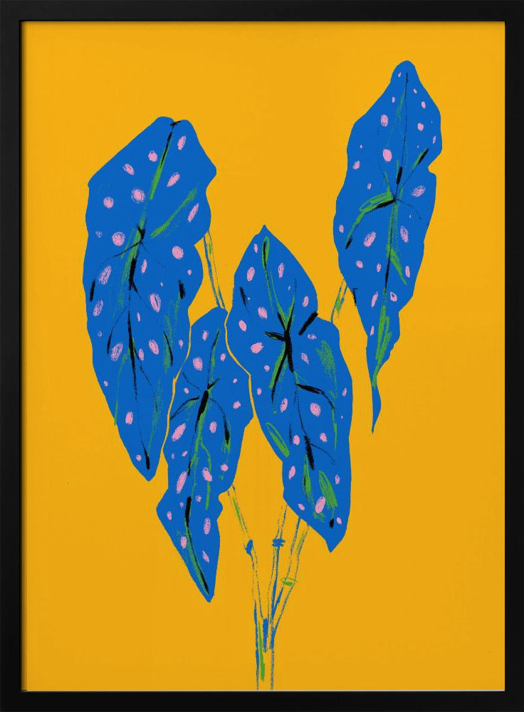 Begonia Maculata Blue and Yellow | Poster
