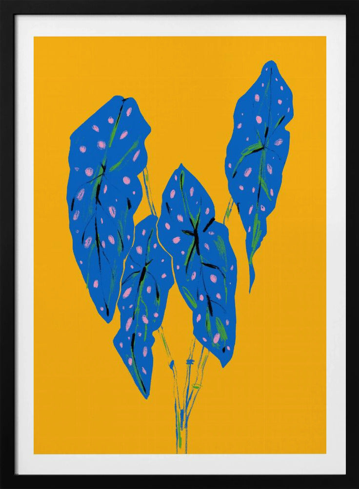 Begonia Maculata Blue and Yellow | Poster