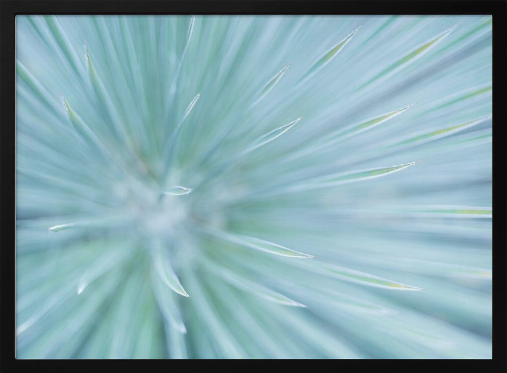 Soft Spikes | Poster