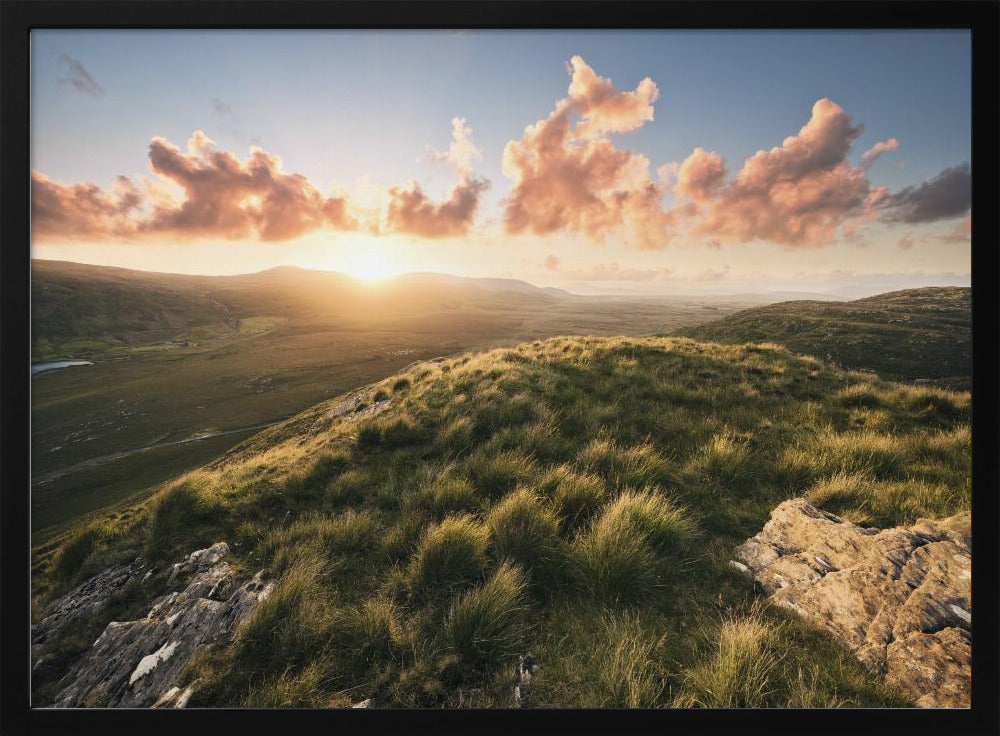 Soft Meadow | Poster