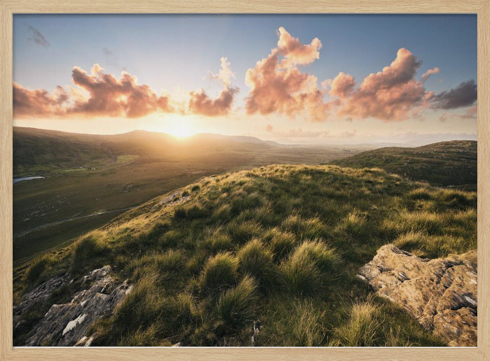 Soft Meadow | Poster