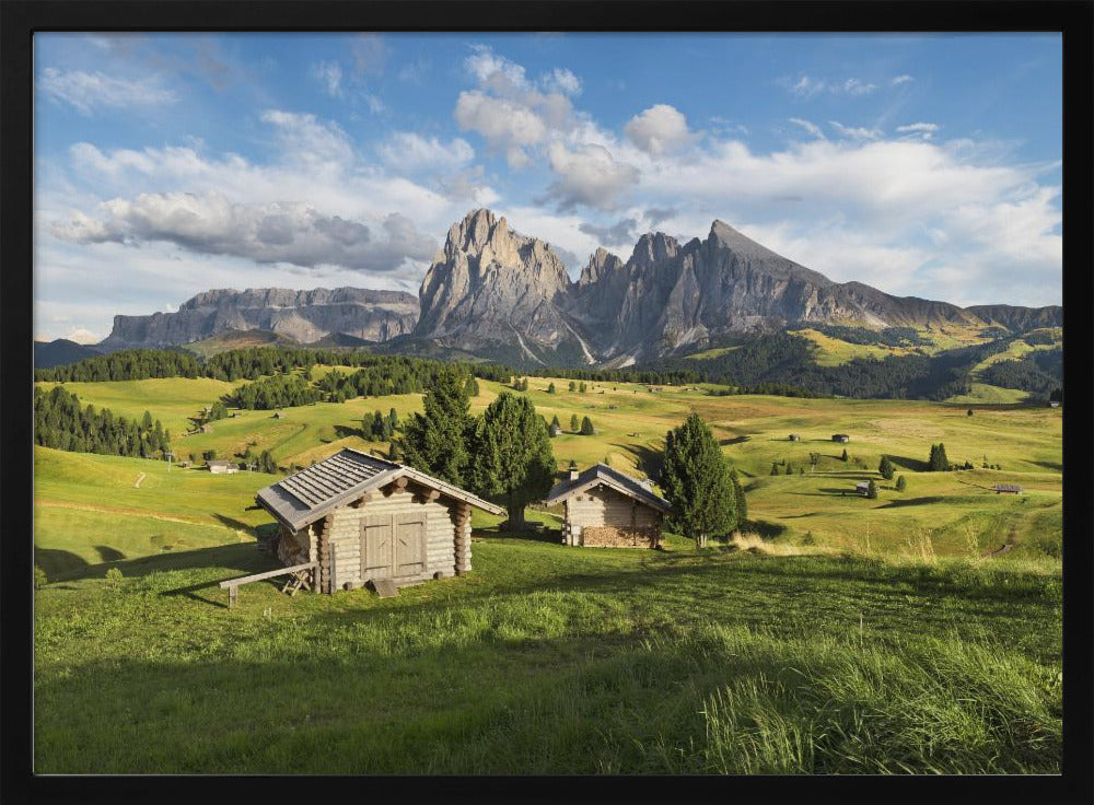 Paradise Day | Poster