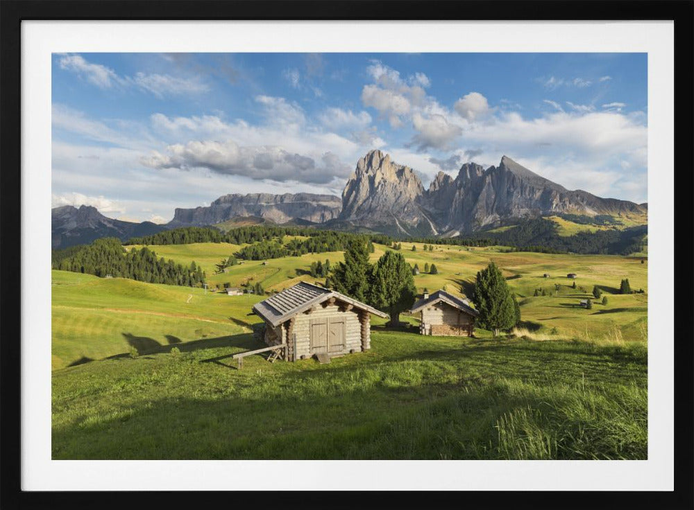 Paradise Day | Poster