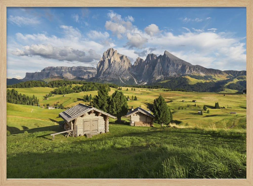 Paradise Day | Poster