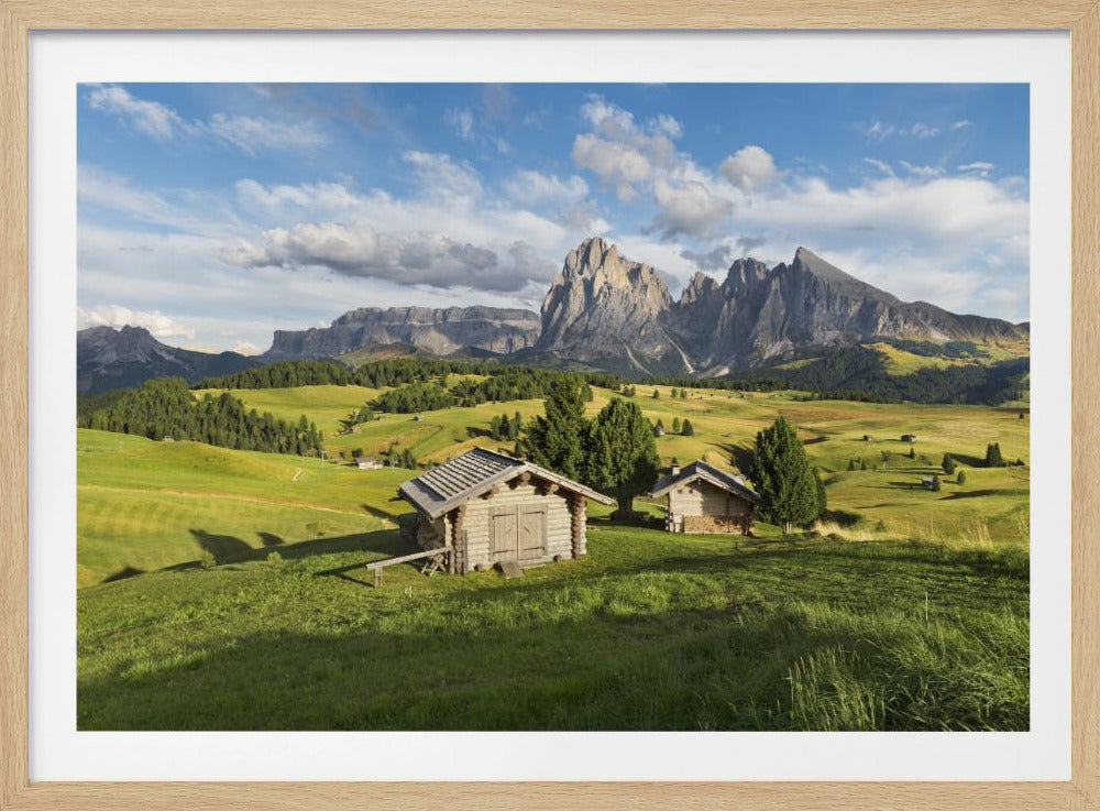 Paradise Day | Poster