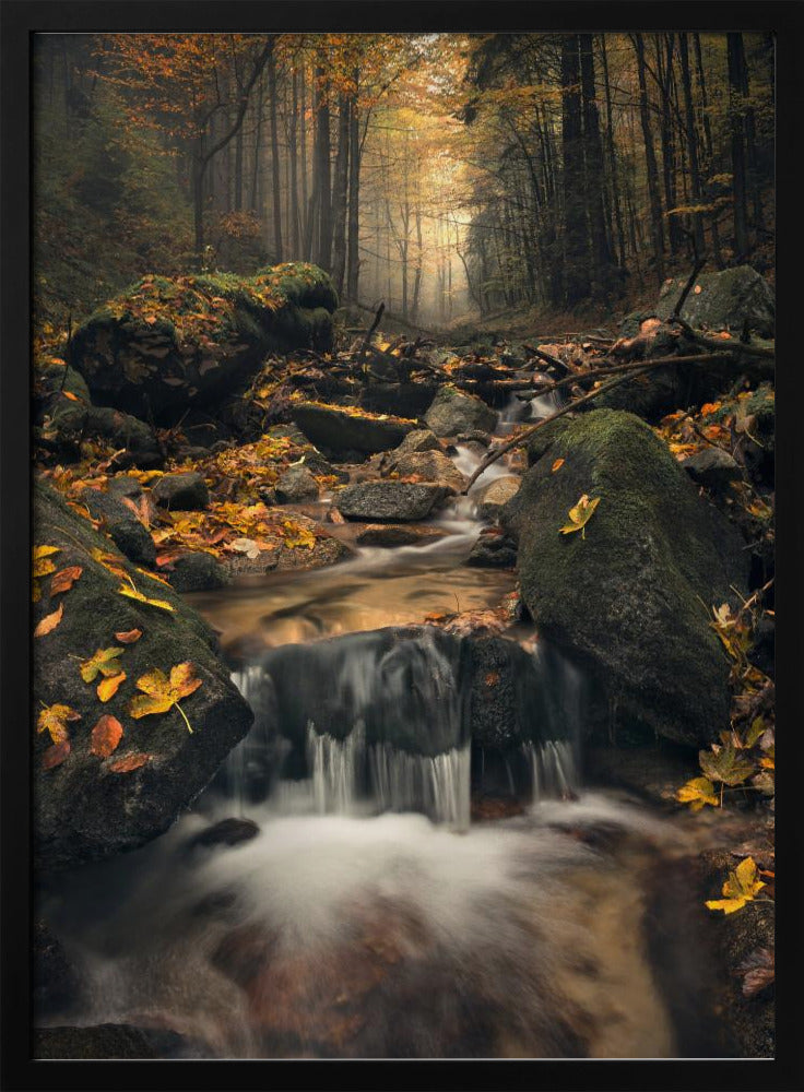 Dreamy Autumn | Poster