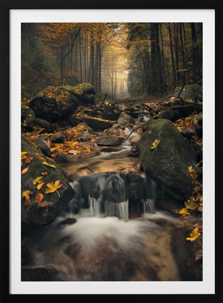 Dreamy Autumn | Poster