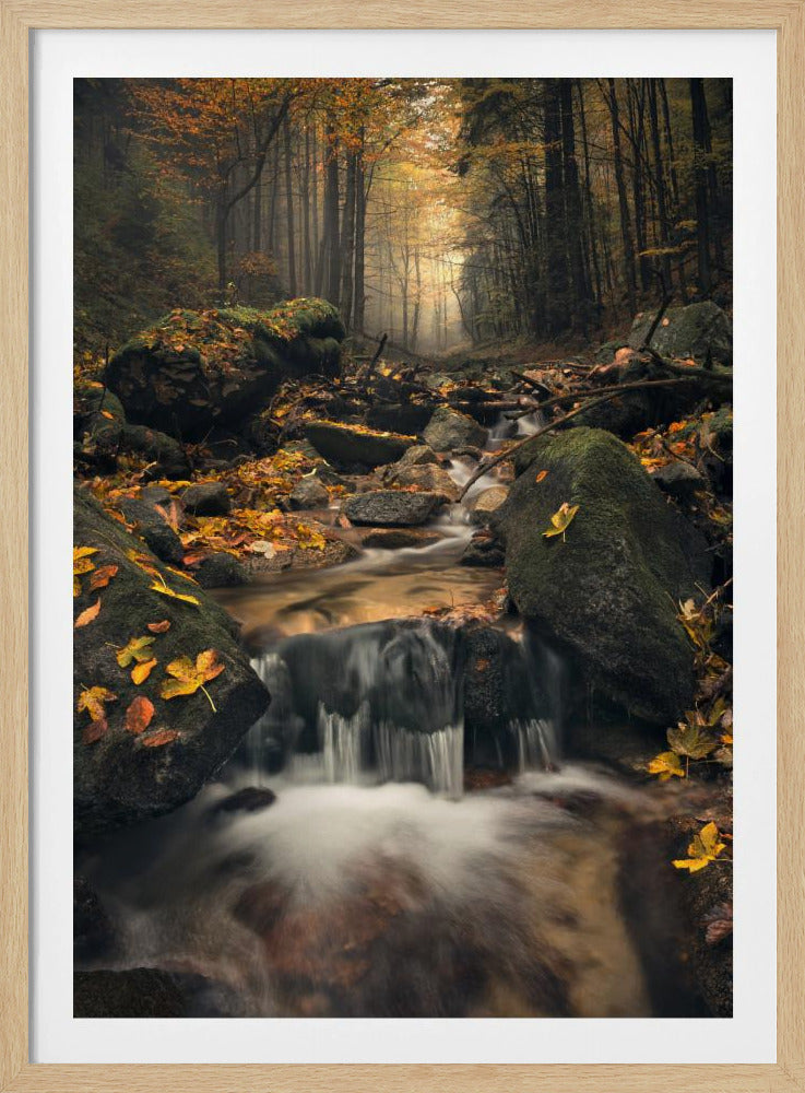 Dreamy Autumn | Poster