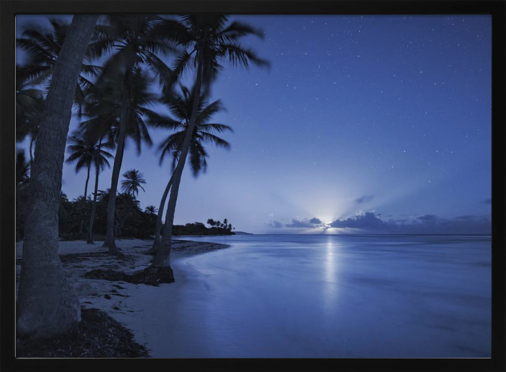 Tropical Moonrise | Poster