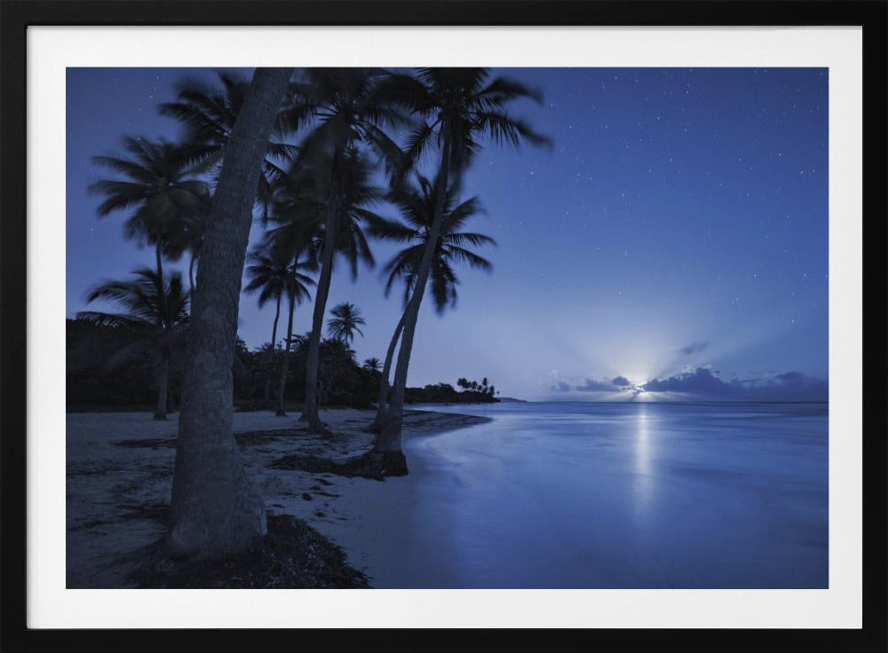 Tropical Moonrise | Poster