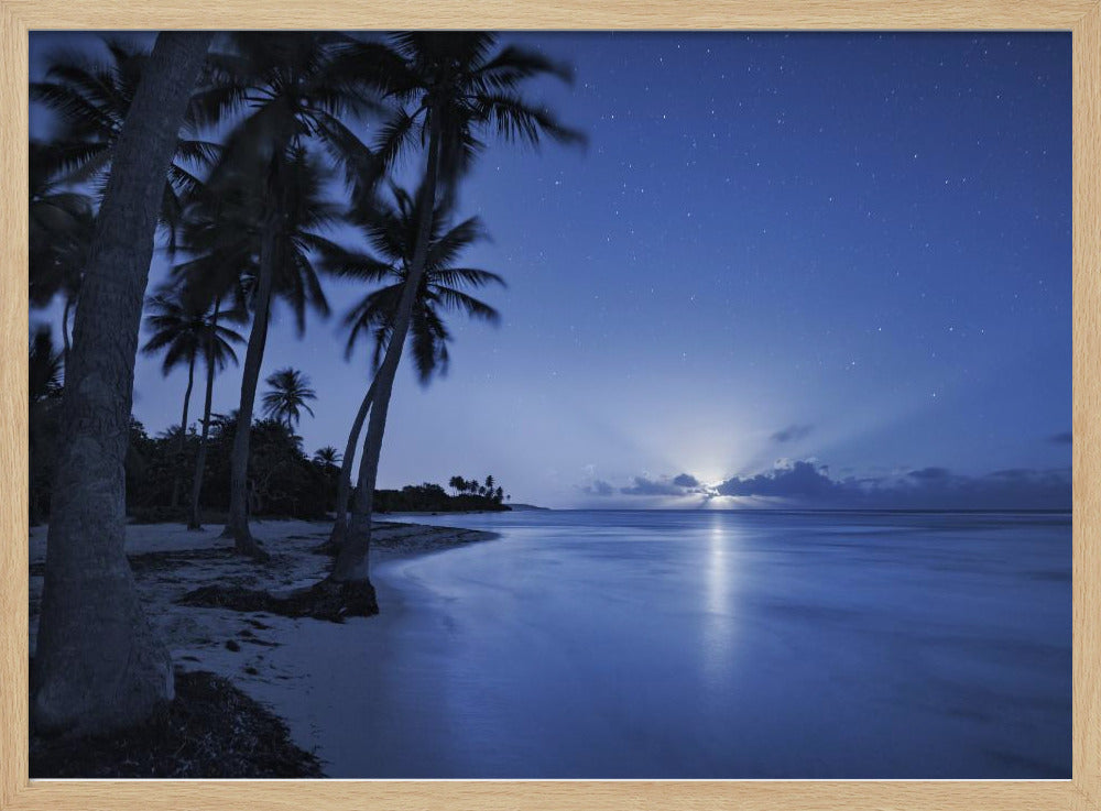 Tropical Moonrise | Poster