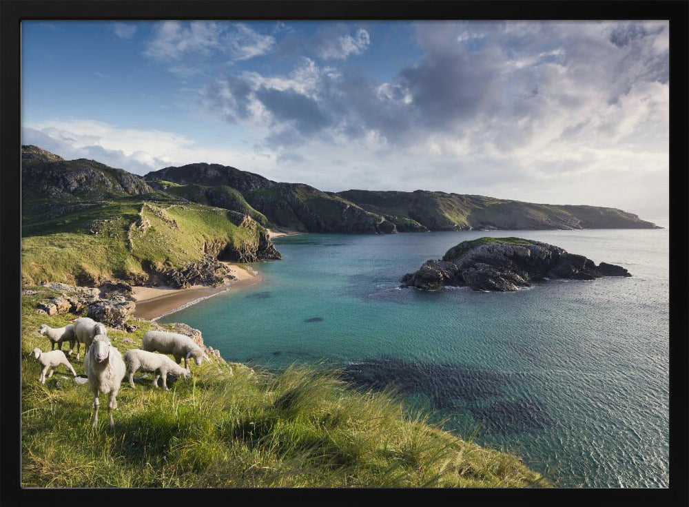 Irish Coast | Poster