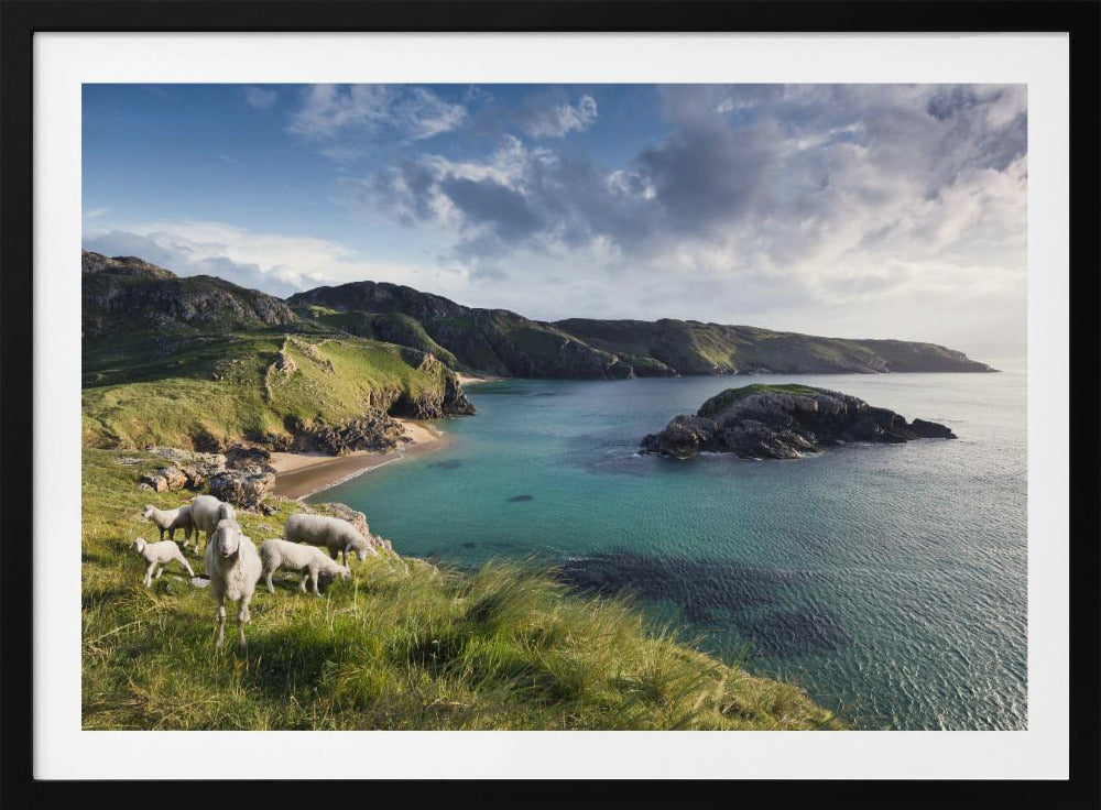 Irish Coast | Poster
