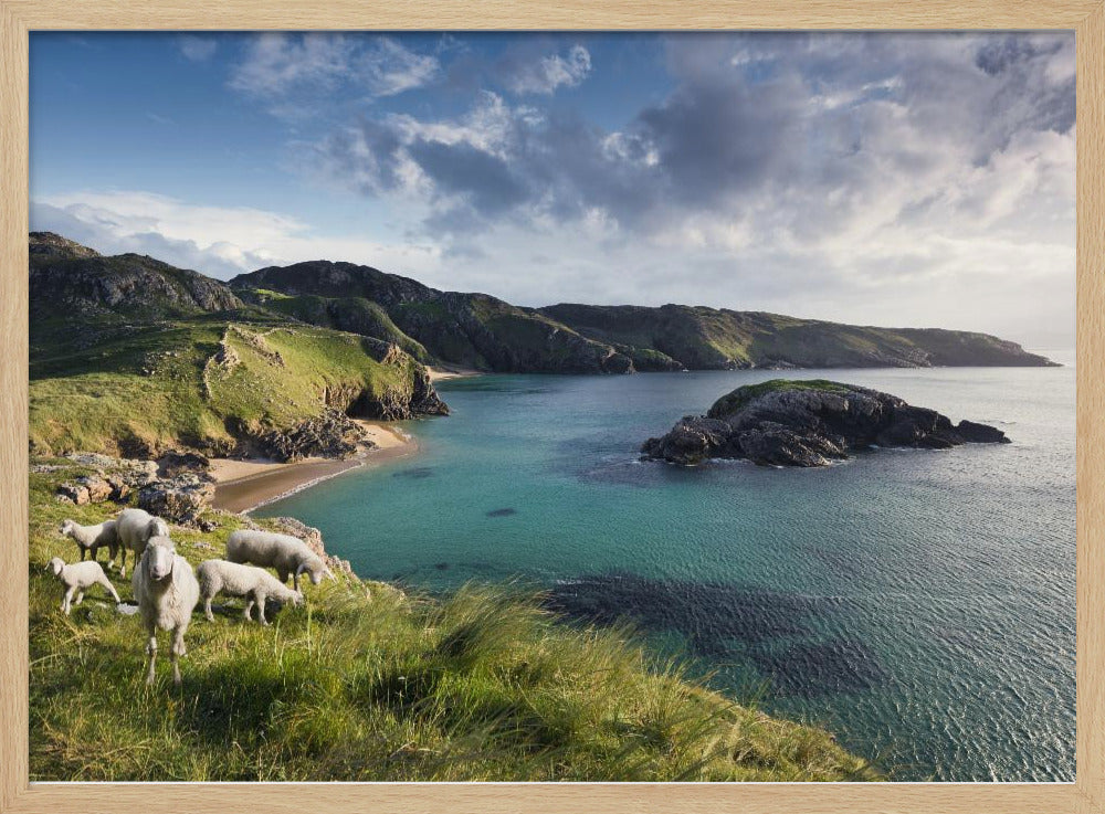 Irish Coast | Poster