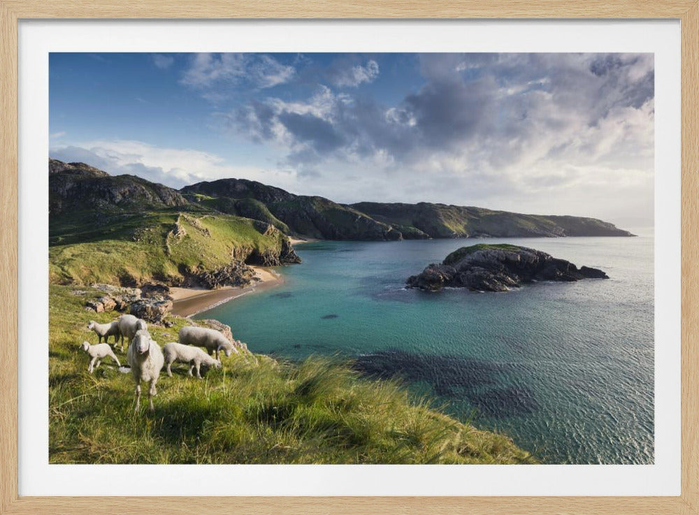 Irish Coast | Poster