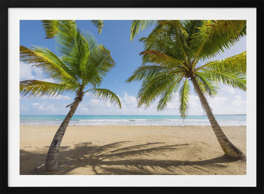 Palmy Beach | Poster