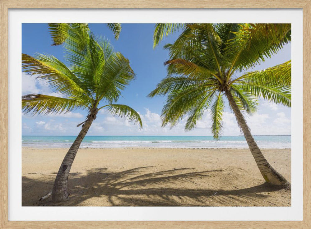 Palmy Beach | Poster