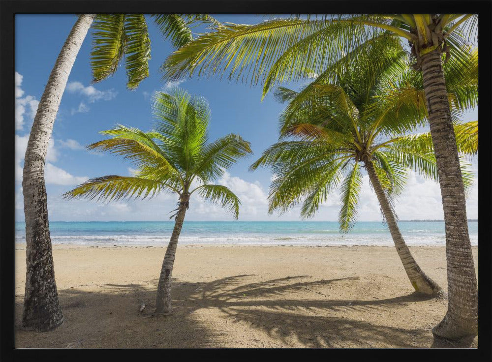 Palmy Beach II | Poster