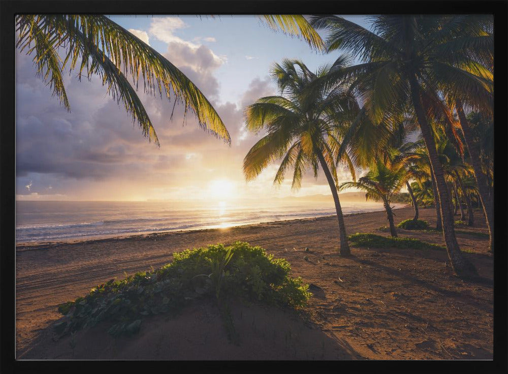 Good Morning Paradise | Poster