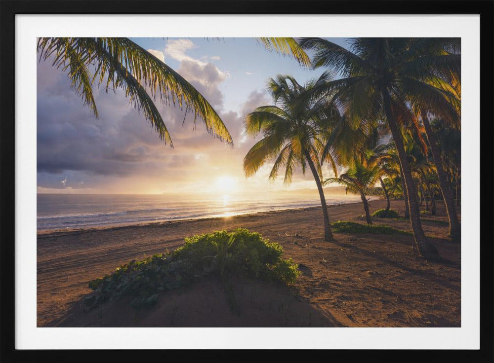 Good Morning Paradise | Poster