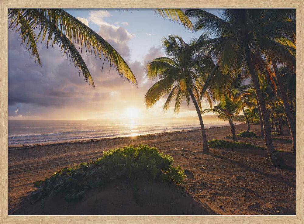 Good Morning Paradise | Poster