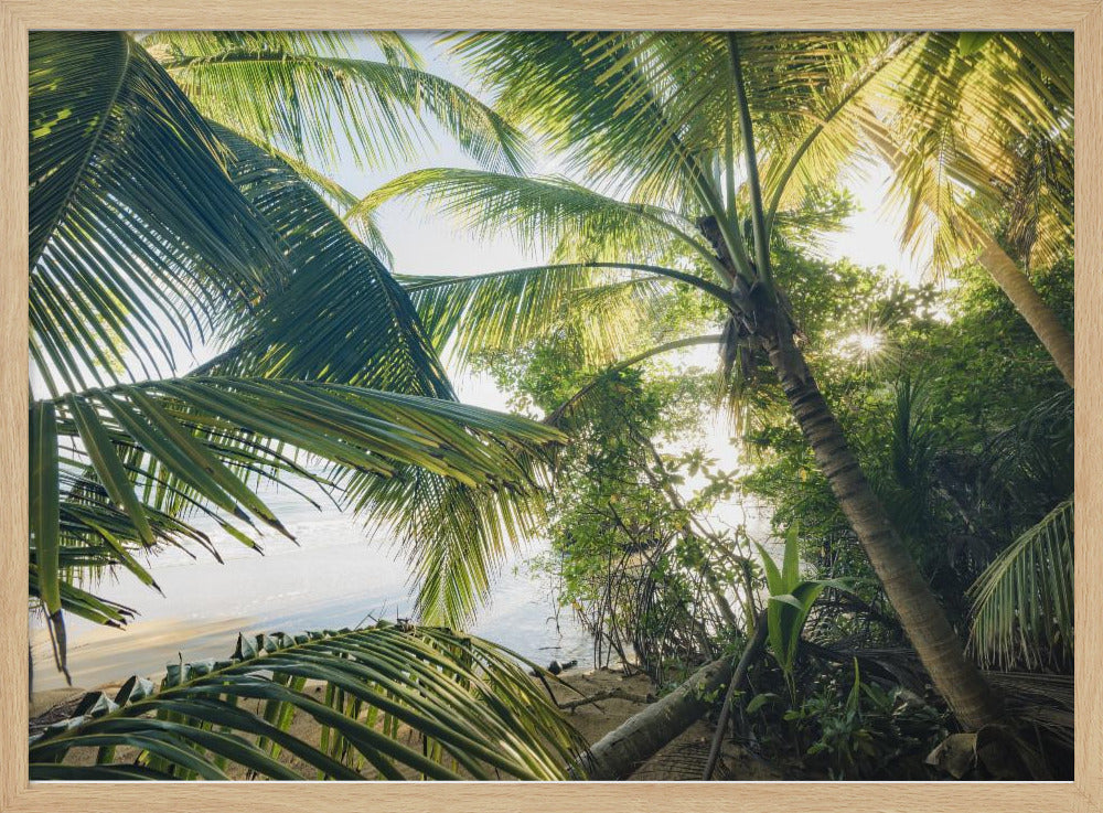 Hide under Palms | Poster