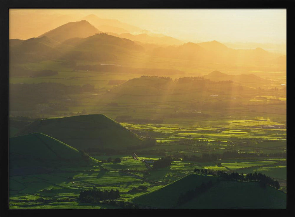 Rays of Hope | Poster