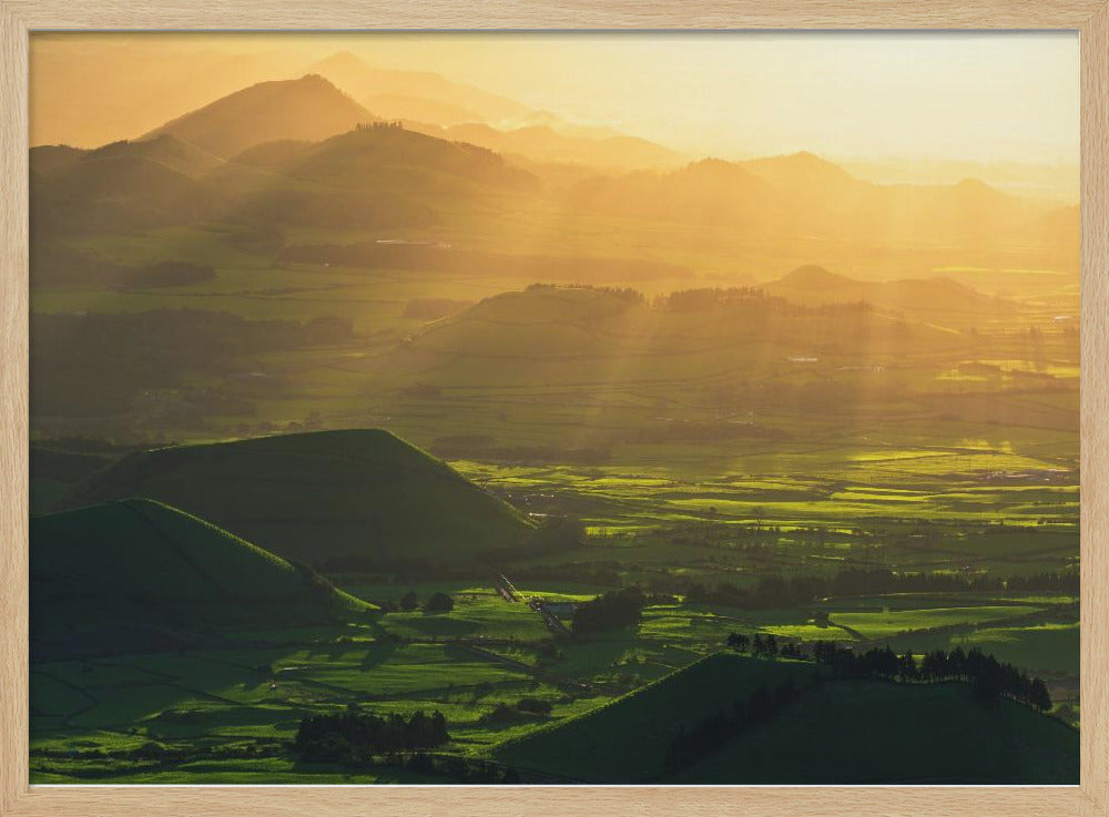 Rays of Hope | Poster