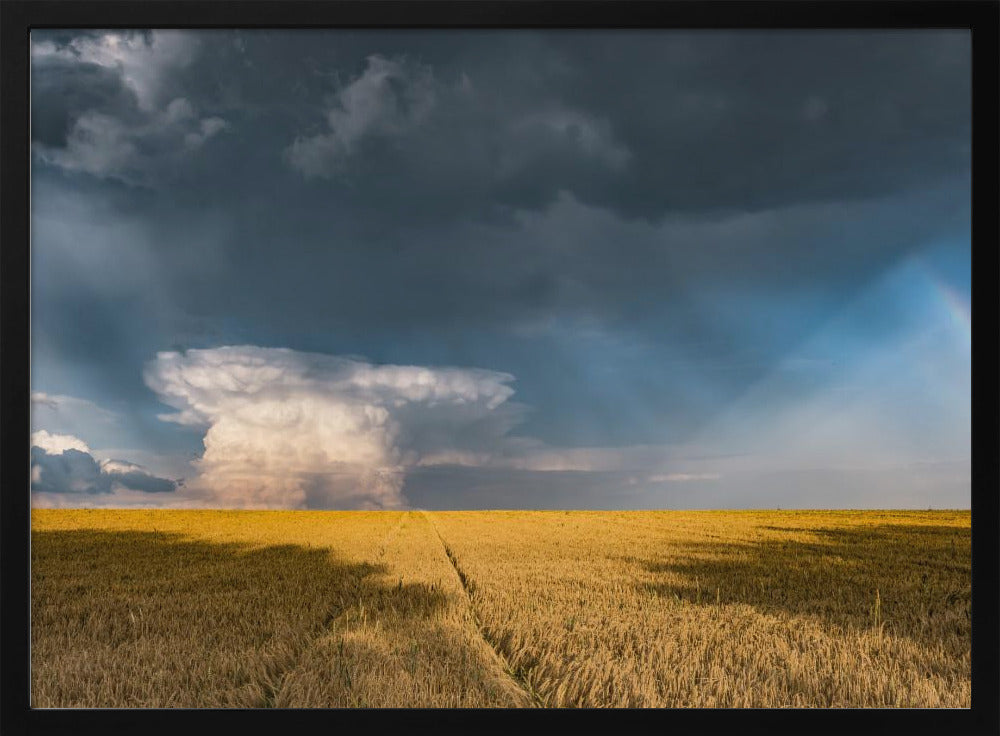 Gold and Thunder | Poster