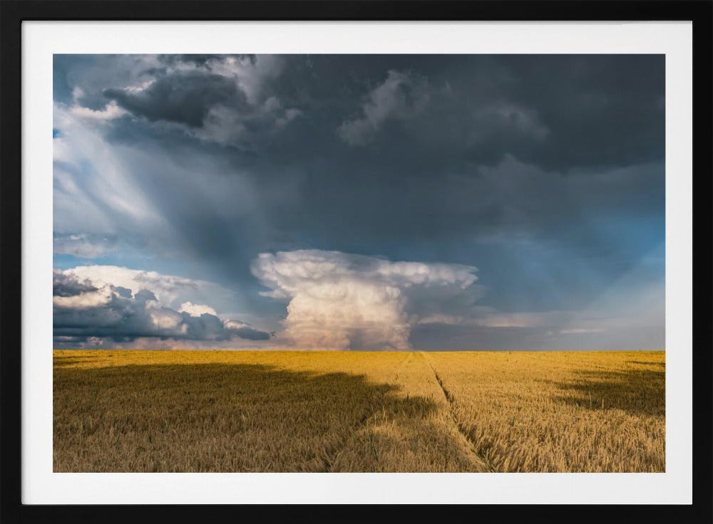 Gold and Thunder | Poster