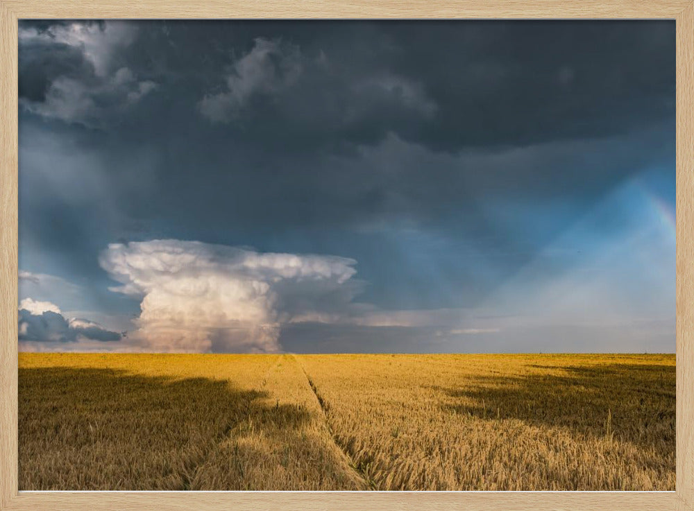 Gold and Thunder | Poster