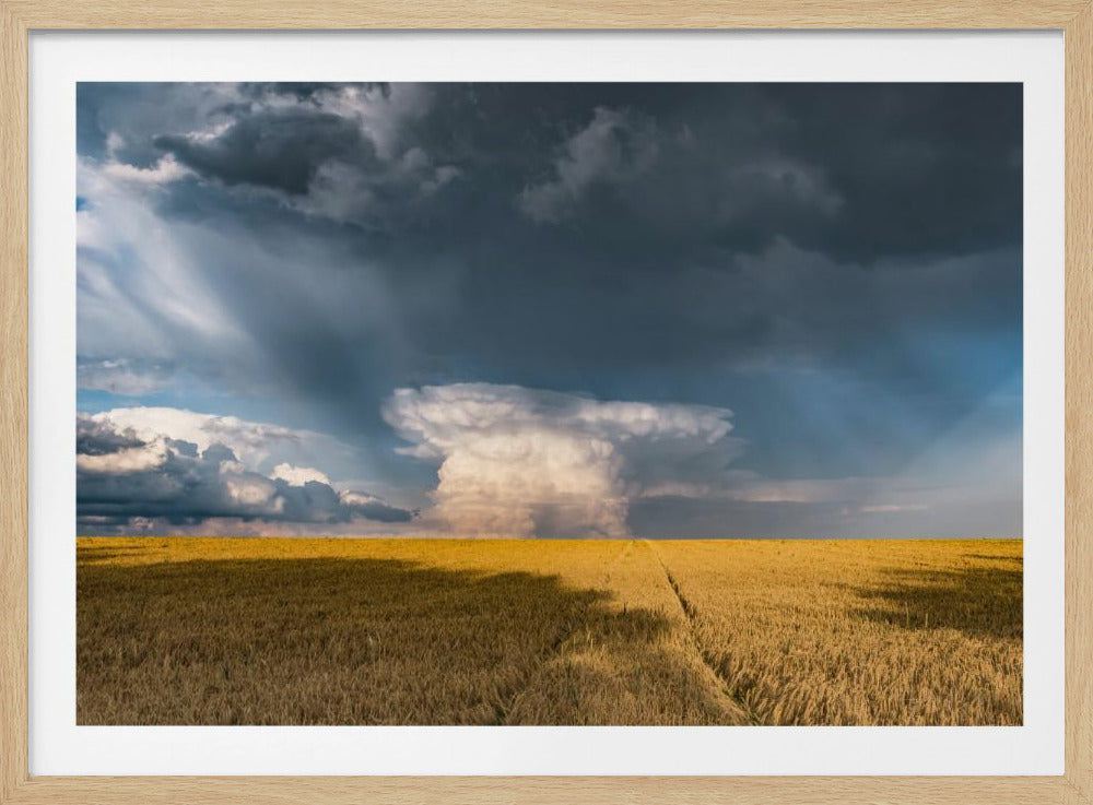 Gold and Thunder | Poster