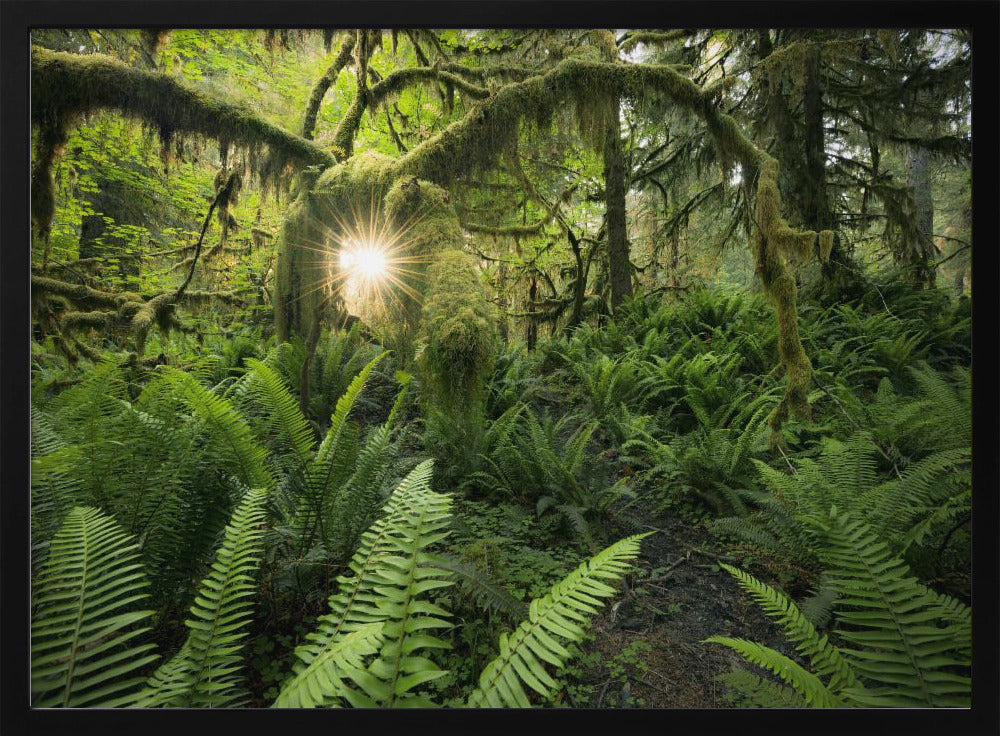 Elks Gateway | Poster