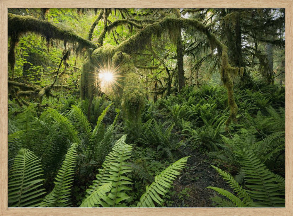 Elks Gateway | Poster