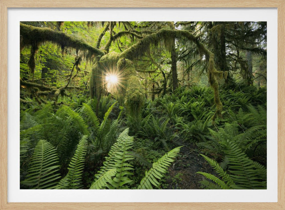 Elks Gateway | Poster