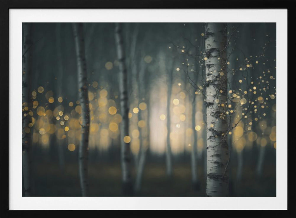 Enchanted Birches | Poster