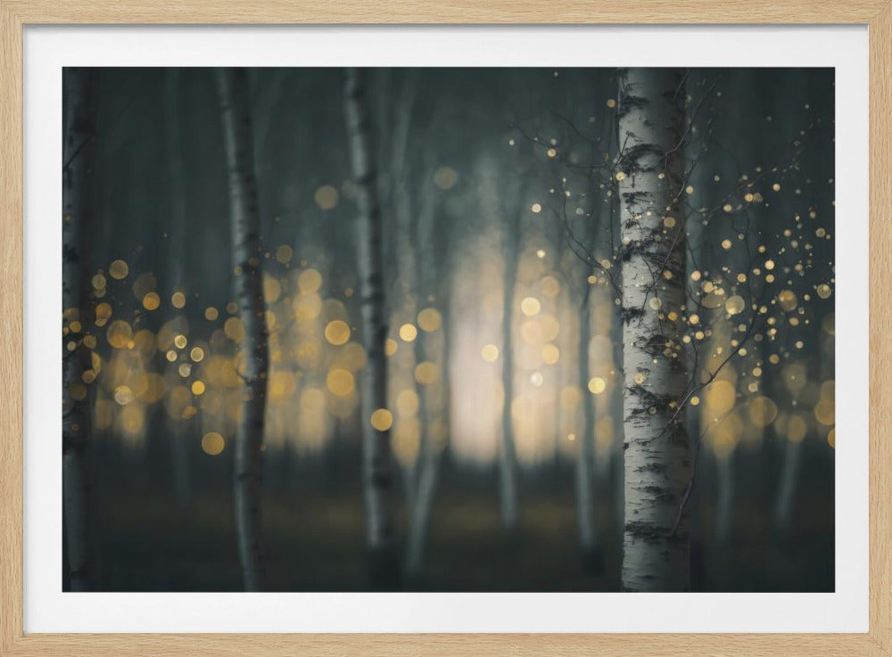 Enchanted Birches | Poster