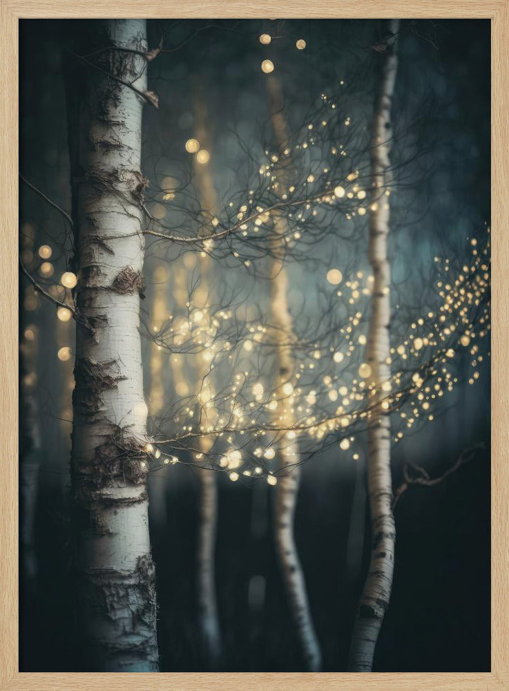 Twinkling Birch Grove | Poster