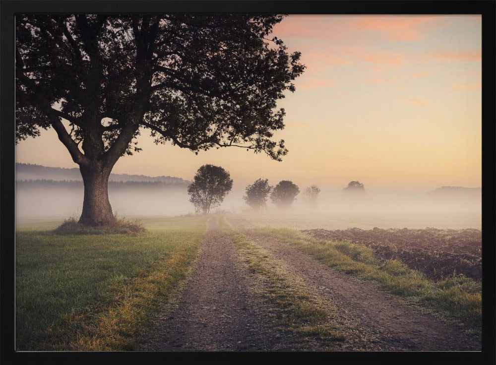 Mystic Path | Poster