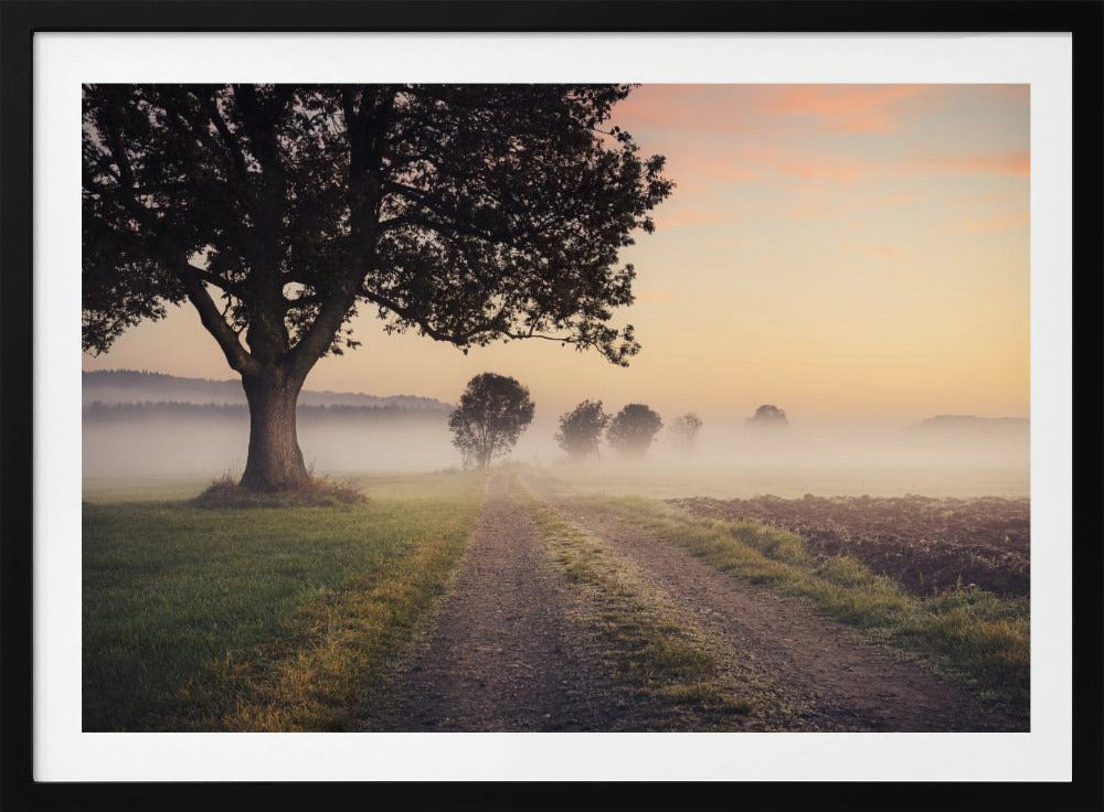 Mystic Path | Poster