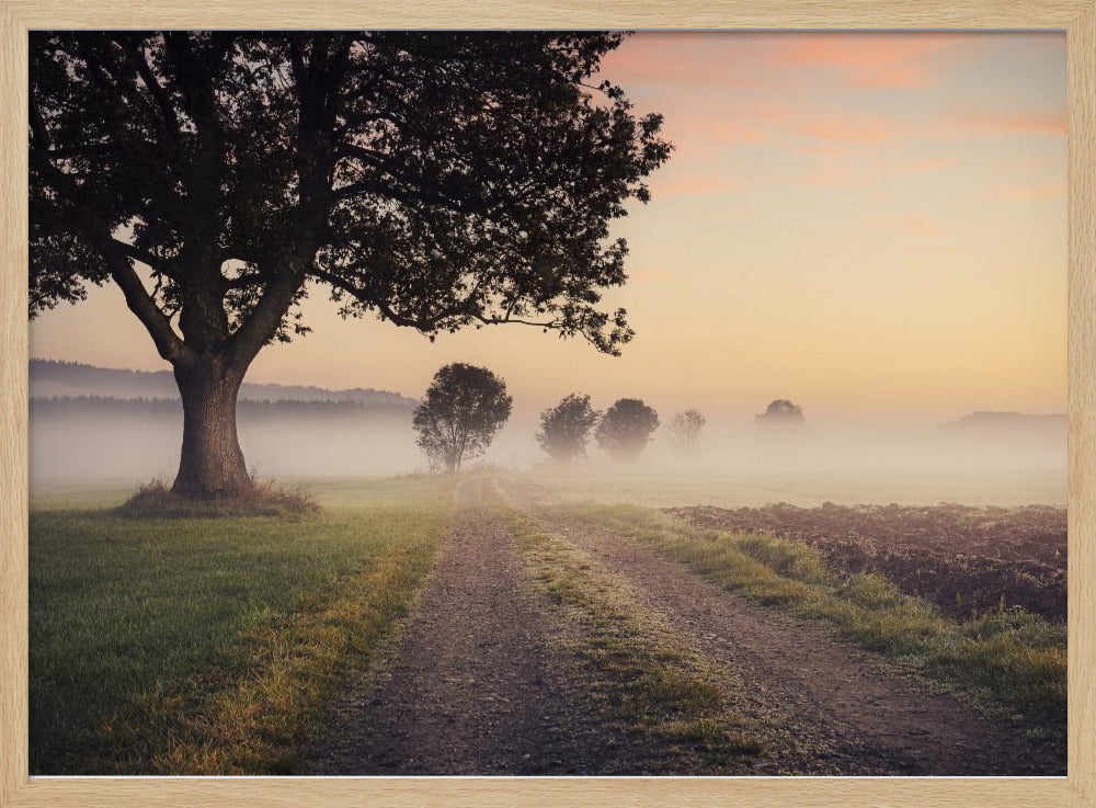 Mystic Path | Poster