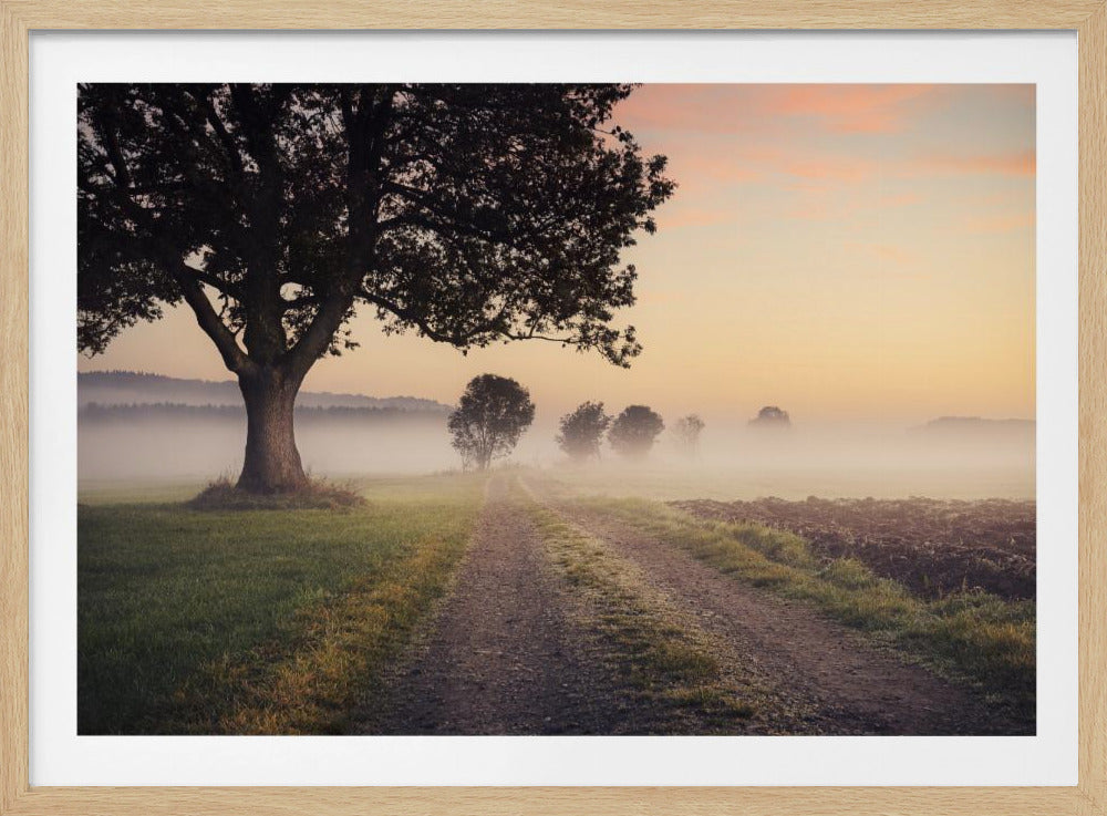 Mystic Path | Poster