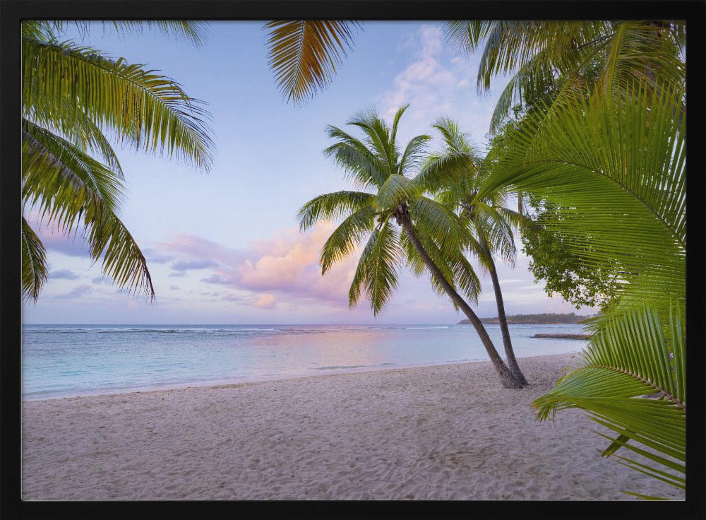 Tropical Beach | Poster