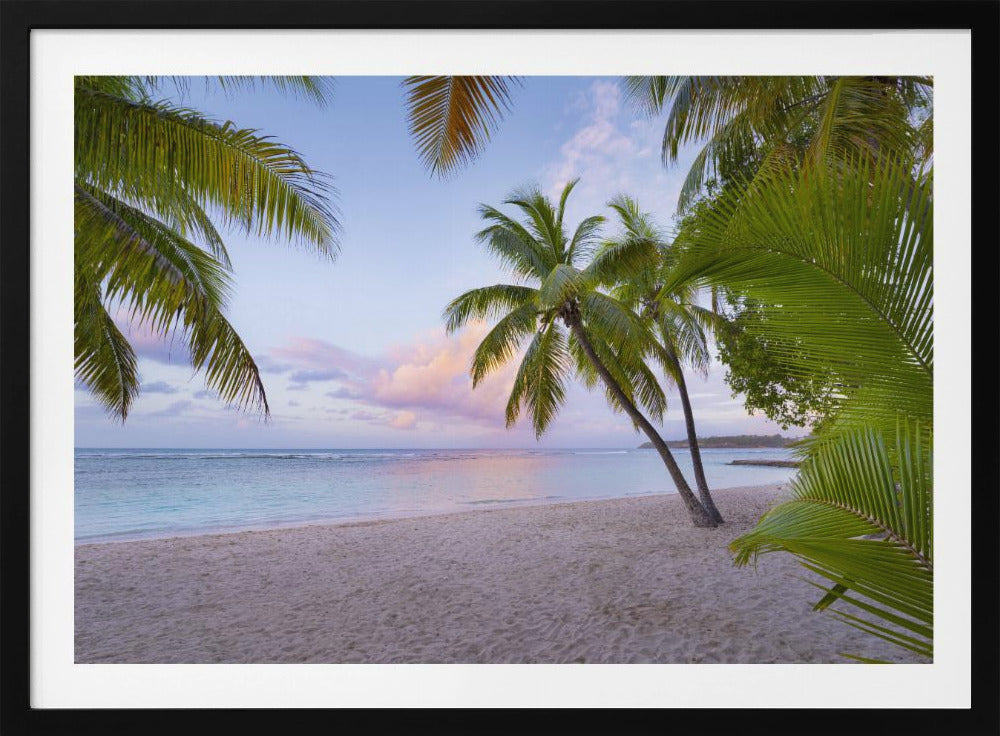 Tropical Beach | Poster