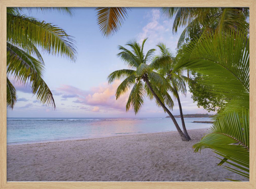 Tropical Beach | Poster